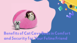 Benefits of Cat Cave Beds in Comfort and Security for Your Feline Friend