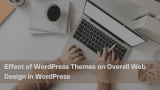 Effect of WordPress Themes on Overall Web Design
