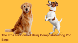 The Pros and Cons of Using Compostable Dog Poo Bags