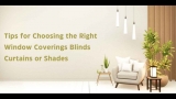 Tips for Choosing the Right Window Coverings Blinds Curtains or Shades