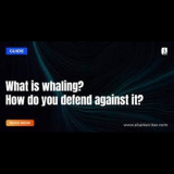 What is Whaling attacks? how to prevent them | SharkStriker